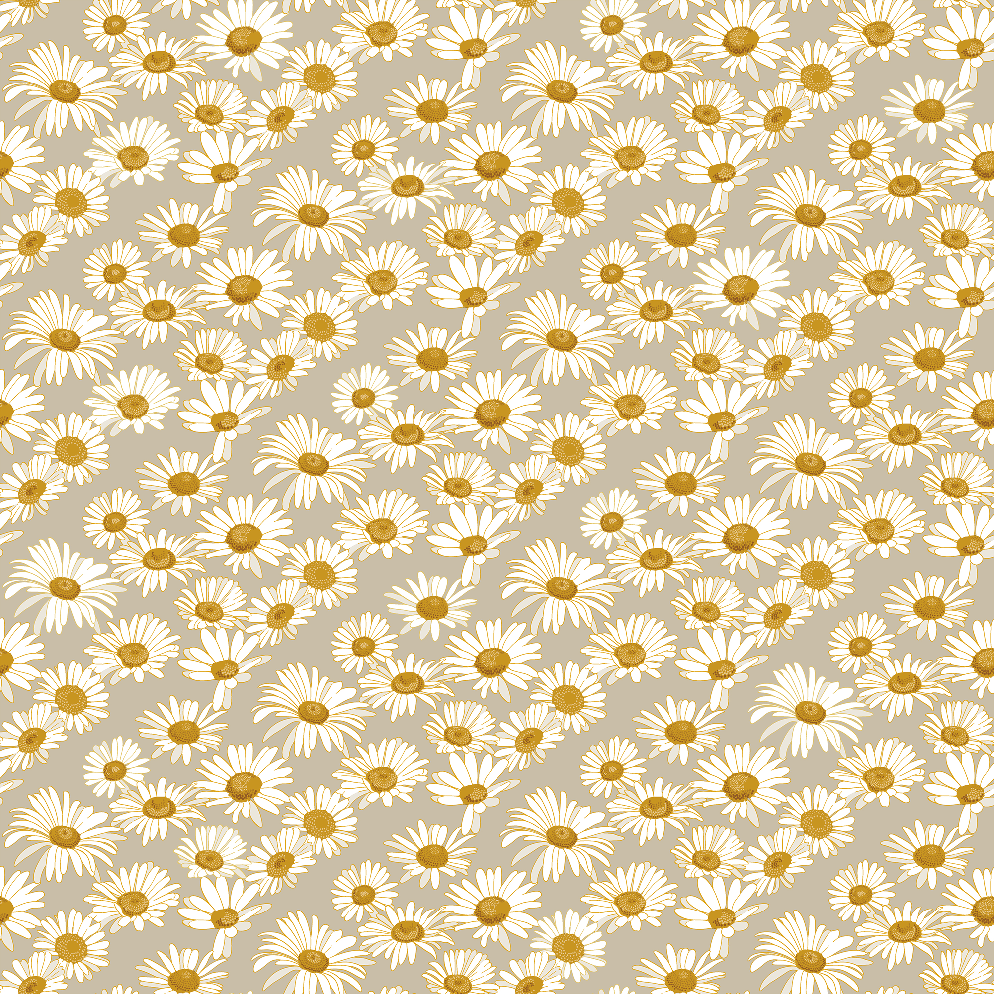 daisy wallpaper background